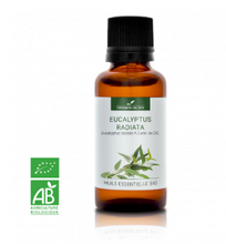 Charger l'image dans la galerie, Eucalyptus radié