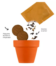 Charger l'image dans la galerie, Les Fleurs des Abeilles Radis et Capucine