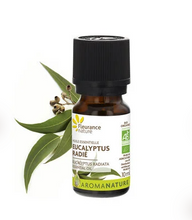 Charger l'image dans la galerie, Eucalyptus radié