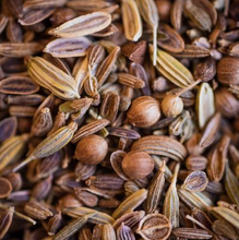 Charger l'image dans la galerie, Ventre Plat Le Comptoir d'Herboristerie