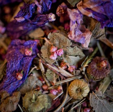 Charger l'image dans la galerie, Silhouette Le Comptoir d'Herboristerie