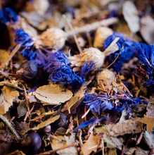 Charger l'image dans la galerie, Voies urinaires Le Comptoir d'Herboristerie