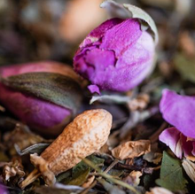 Charger l'image dans la galerie, Nuit Paisible Le Comptoir d'Herboristerie