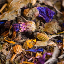 Charger l'image dans la galerie, Tisane de la Famille Le Comptoir d'Herboristerie