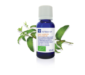 Eucalyptus citronné Ad Naturam