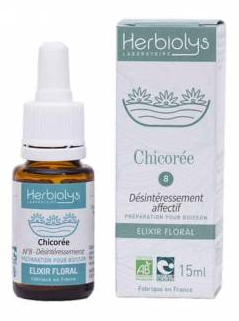 Chicorée - Chicory du Dr Bach Herbiolys