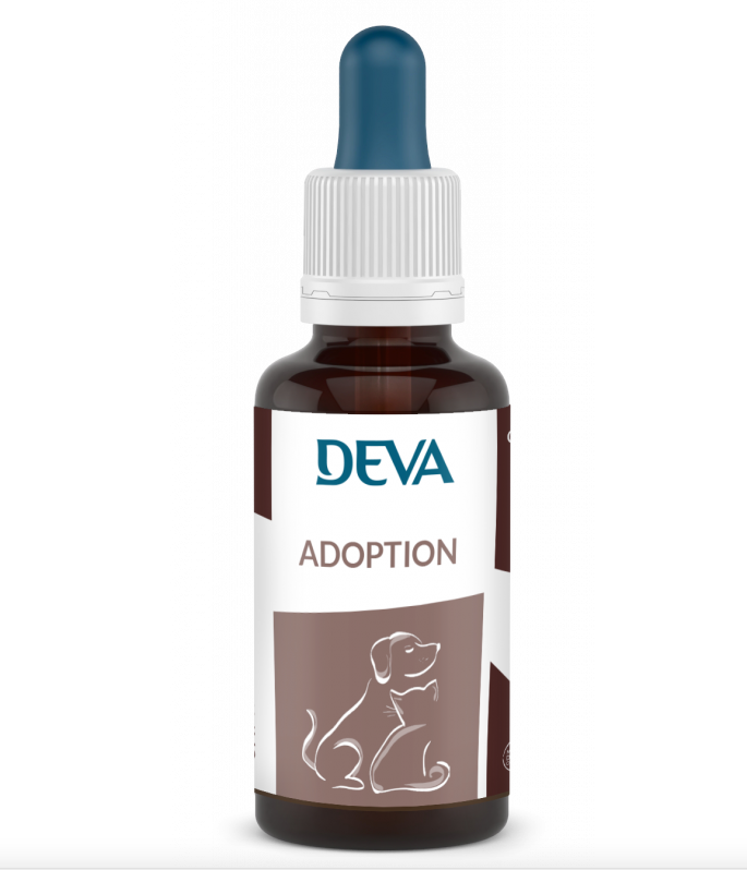 Adoption Deva